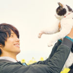 気分屋にゃんこにメロメロなあなたに絶対おすすめ!!猫映画18選