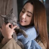 映画猫は抱くもの