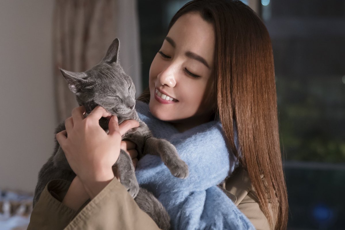 人間ドラマを見たい方必見!犬童一心”監督のおすすめ映画7選!