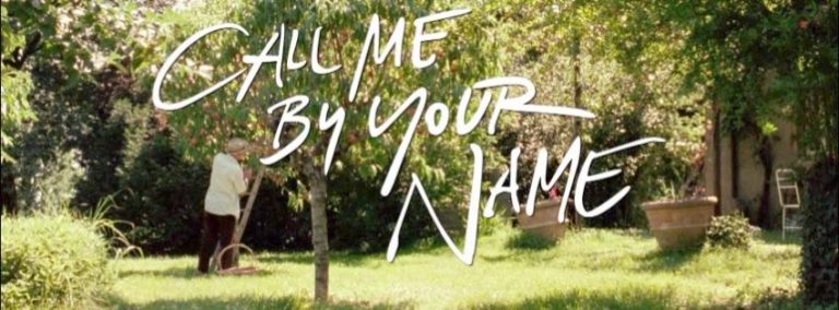 Call Me By Your Name / 君の名前で僕を呼んで サントラLP+