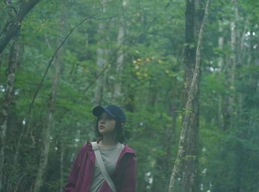 映画『樹海村』のあらすじをネタバレ有りで解説!舞台は”自殺の名所”…?