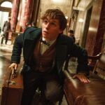 【ネタバレ】『ファンタスティック・ビースト』シリーズ全作のあらすじ解説!ハリポタシリーズとの時系列は?
