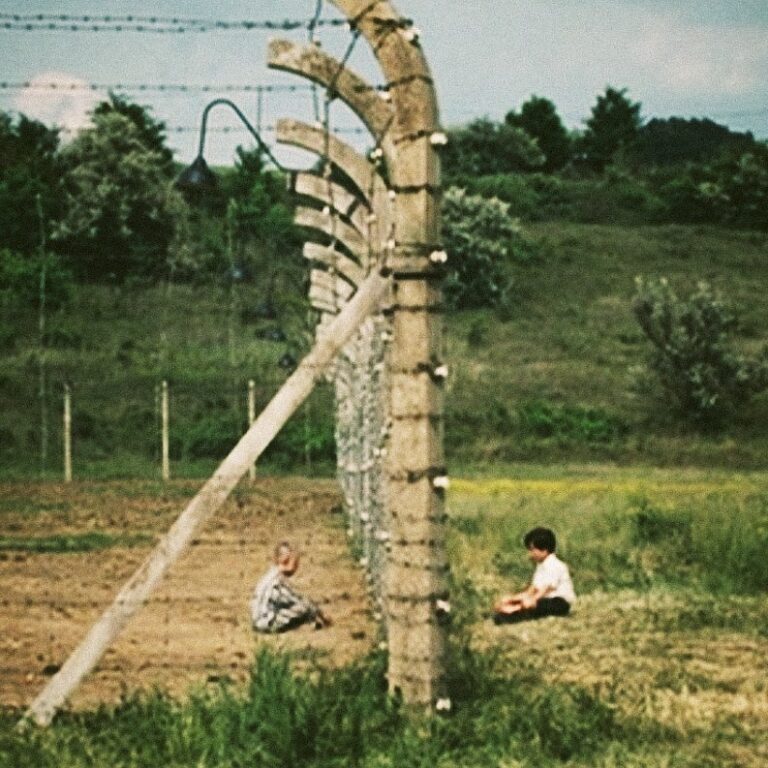 【考察】映画『縞模様のパジャマの少年』あらすじをネタバレ｜ラストシーンに込められたメッセージとは 映画ひとっとび